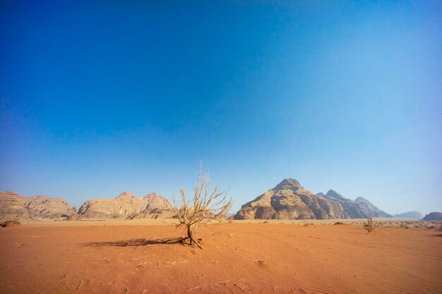 Scenic view of desert against clear blue sky