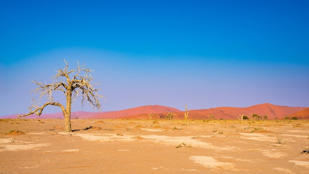 Scenic view of desert against clear blue sky