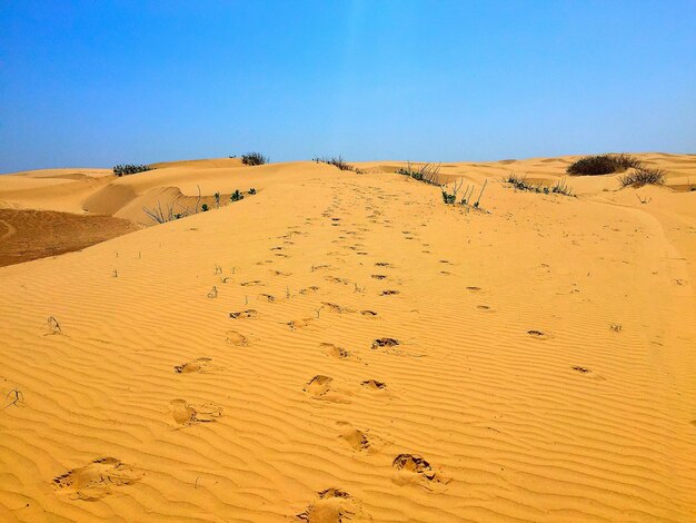 Scenic view of desert against clear blue sky