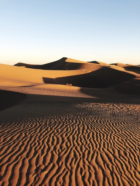 Foto la vista panoramica del deserto contro un cielo limpido