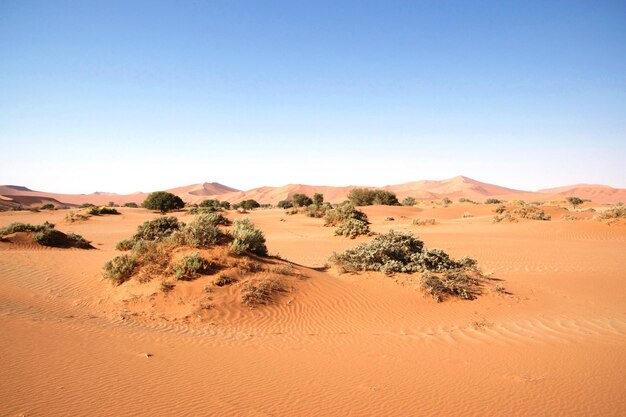 Foto vista panoramica del deserto contro un cielo limpido