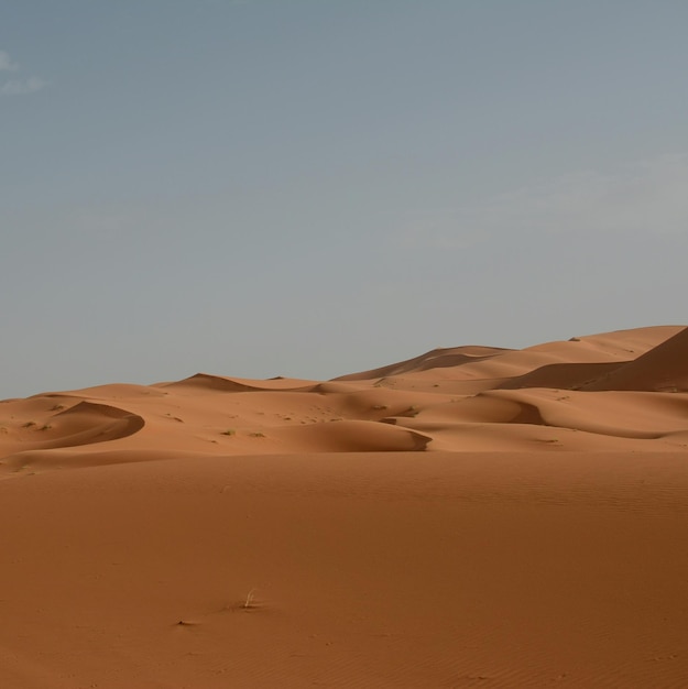 Scenic view of desert against clear sky