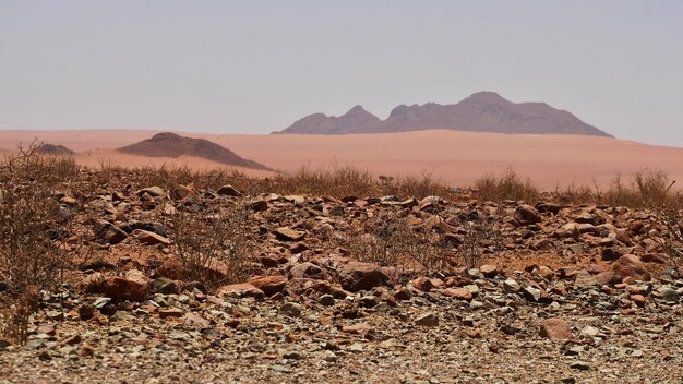 Photo scenic view of desert against clear sky