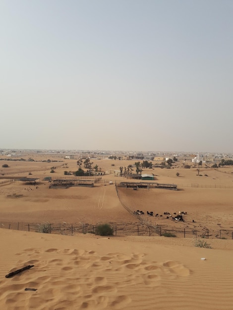 Foto la vista panoramica del deserto contro un cielo limpido