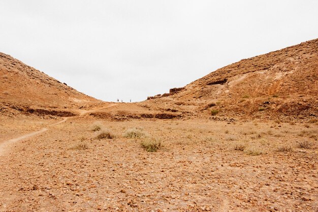 Scenic view of desert against clear sky