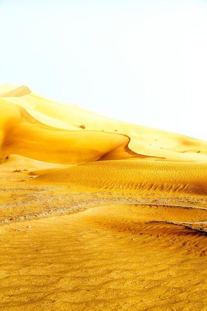 Scenic view of desert against clear sky