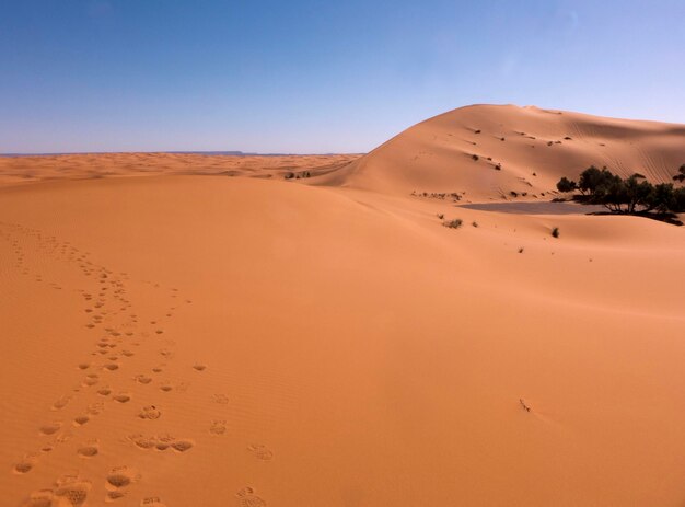 Scenic view of desert against clear sky