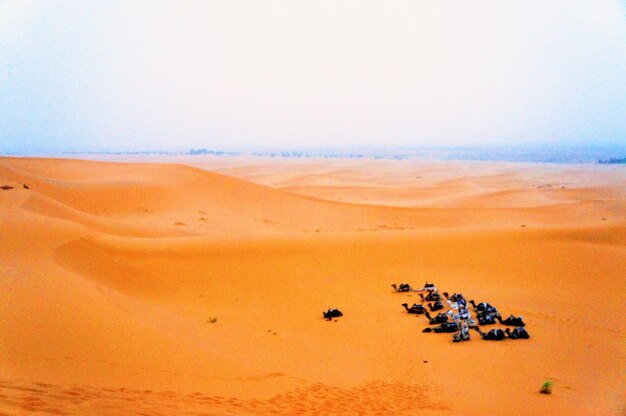 Scenic view of desert against clear sky