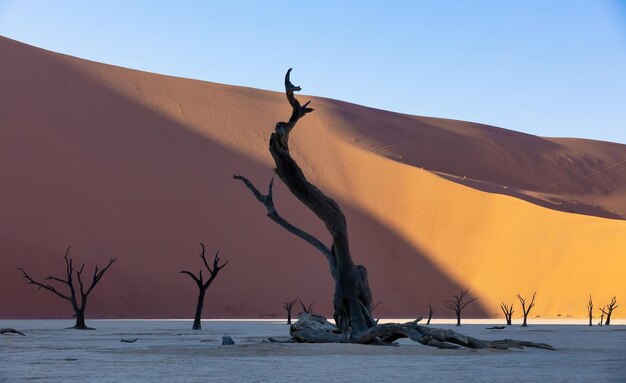 Scenic view of desert against clear sky