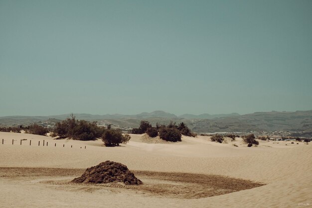 Scenic view of desert against clear sky