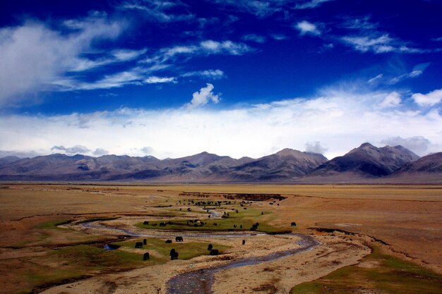 Photo scenic view of desert against mountains