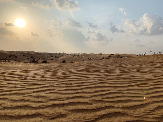 Scenic view of desert against sky during sunset