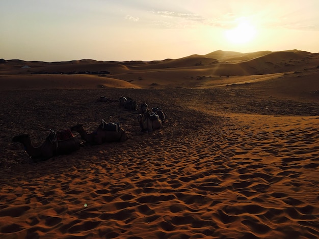 Photo scenic view of desert against sky during sunset