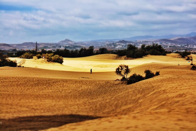 Scenic view of desert against sky