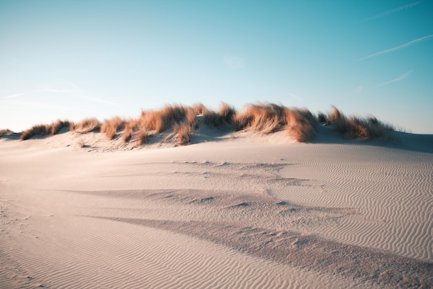 Scenic view of desert against sky