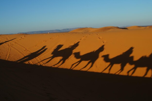 Foto la vista panoramica del deserto contro il cielo