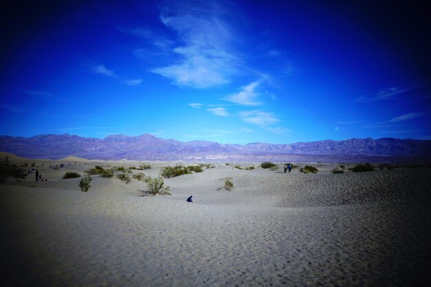 Scenic view of desert against sky