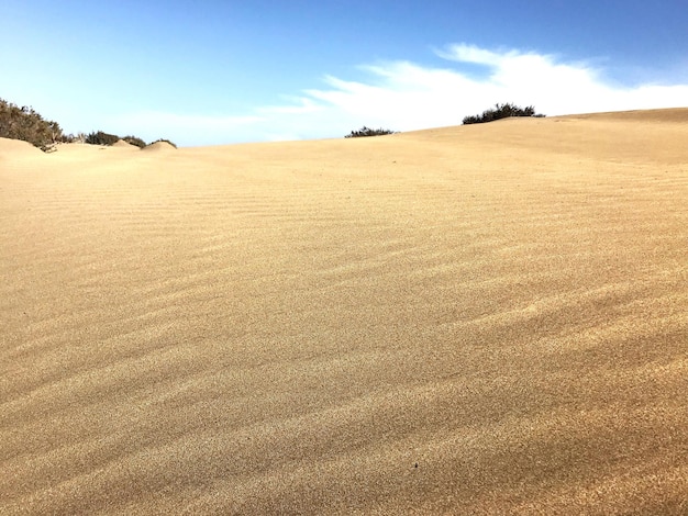 Foto vista panoramica del deserto contro il cielo