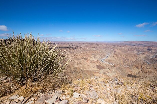 Scenic view of desert against sky