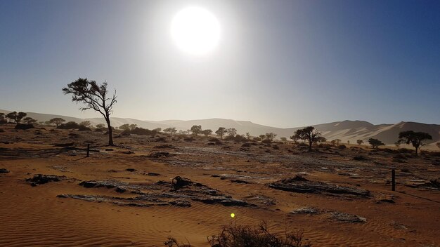 Foto la vista panoramica del deserto contro il cielo