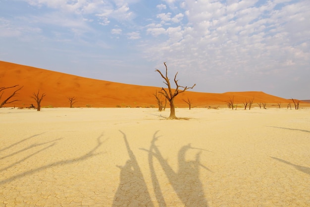 Photo scenic view of desert against sky