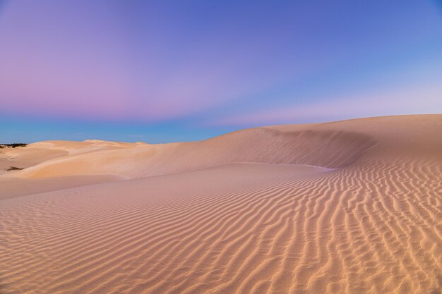 Scenic view of desert against sky