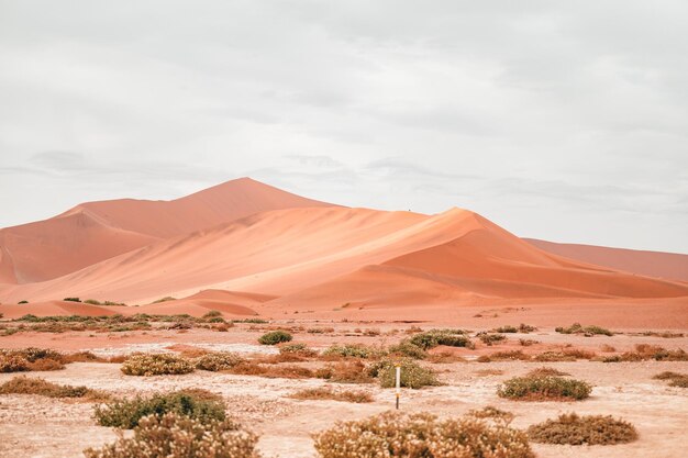 Scenic view of desert against sky