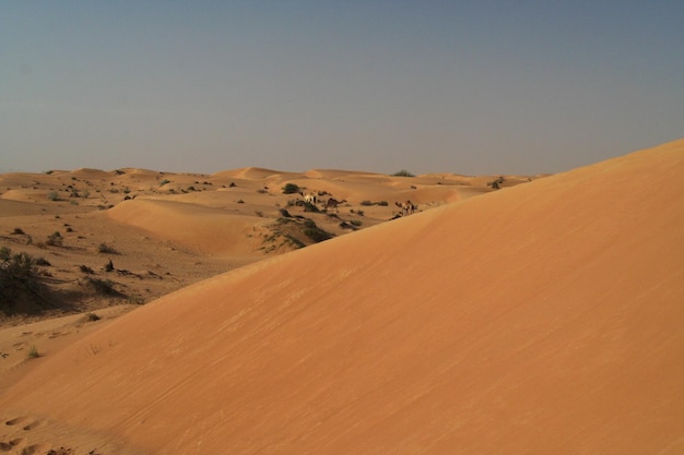 Scenic view of desert against sky