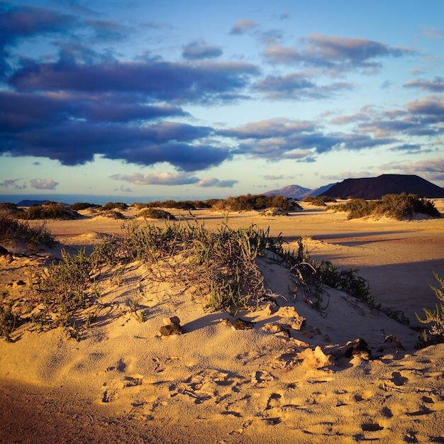 Photo scenic view of desert against sky