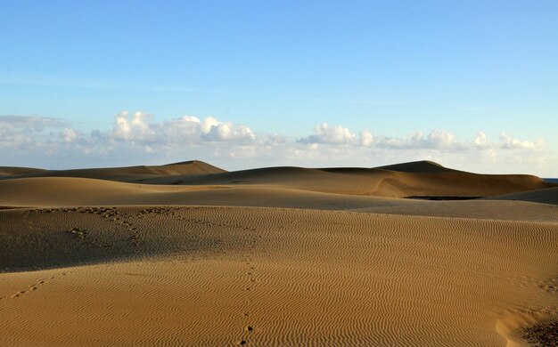 Scenic view of desert against sky