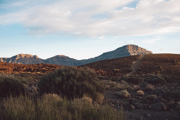 scenic view of desert against sky