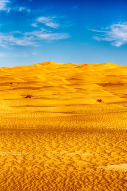 Scenic view of desert against sky