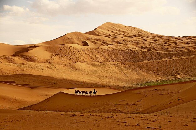 Scenic view of desert against sky