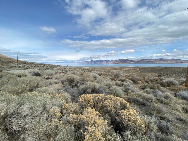 Foto la vista panoramica del deserto contro il cielo