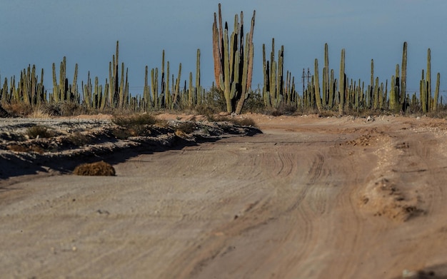 Foto la vista panoramica del deserto contro il cielo