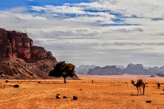 Scenic view of desert against sky