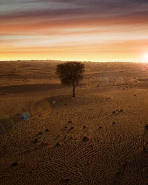 Photo scenic view of desert during sunset