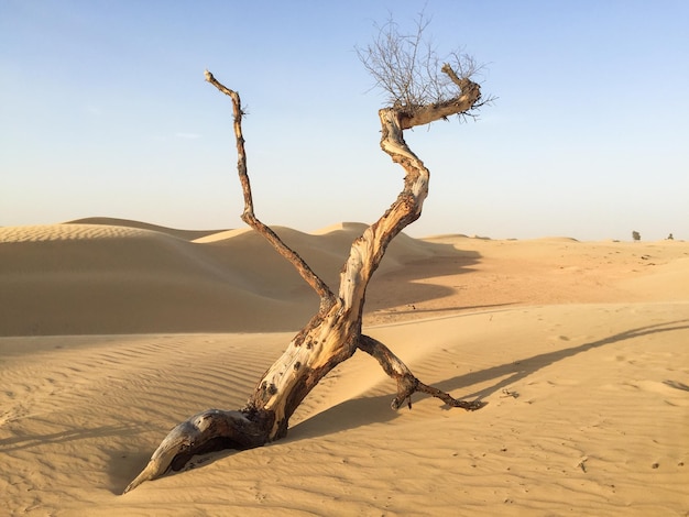 Foto la vista panoramica del deserto