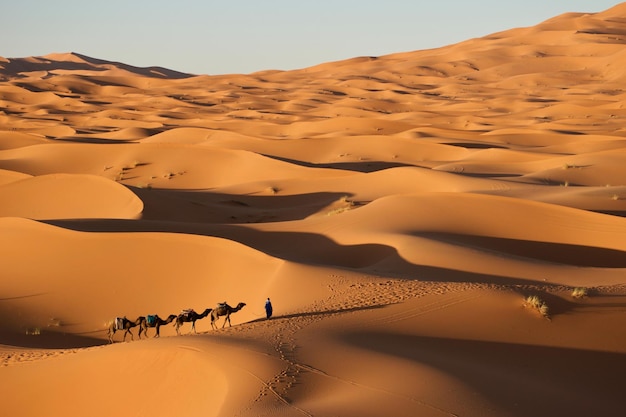 Foto la vista panoramica del deserto