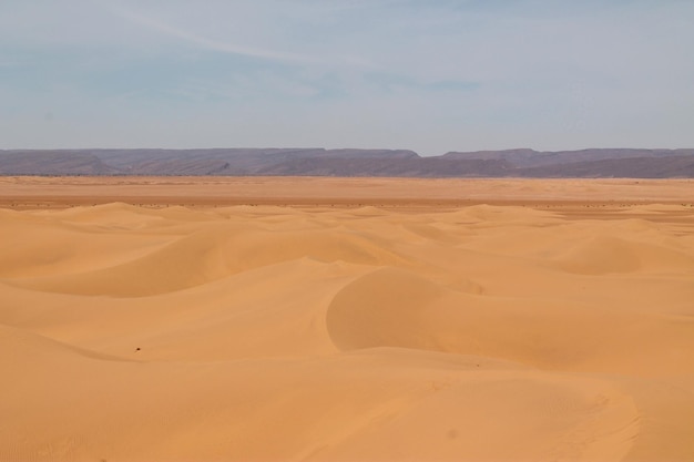 scenic view of desert
