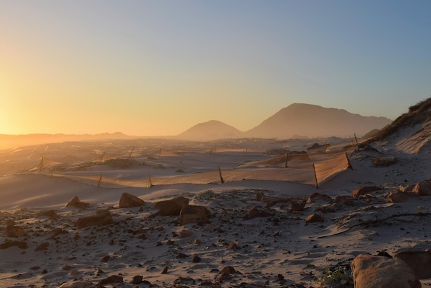 Foto la vista panoramica di una spiaggia deserta sulla strada di ritorno dal capo di buona speranza durante il tramonto