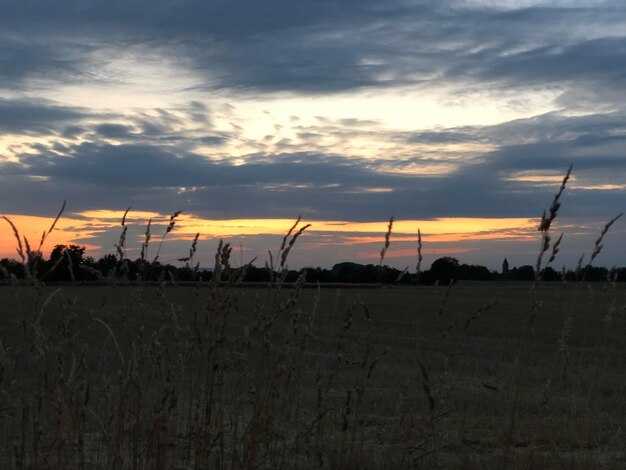 Scenic view of dramatic sky over field during sunset