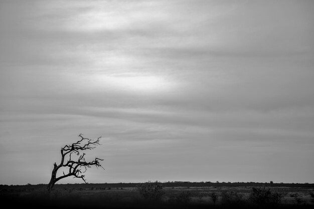 Photo scenic view of dramatic sky