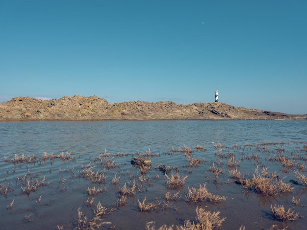 Живописный вид на сухую траву, растущую на песчаном берегу, омываемую голубым спокойным морем, и маяк на вершине холма