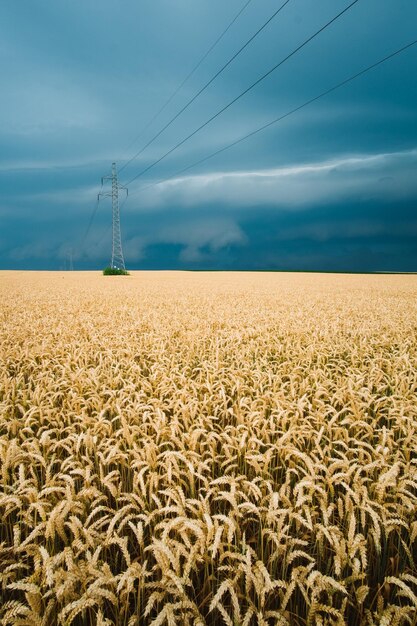 Foto vista panoramica del pilastro elettrico sul campo contro il cielo