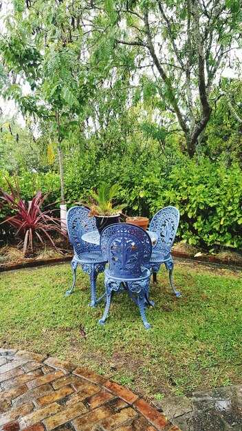 Scenic view of empty chairs in lawn