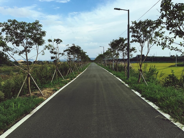 空の田舎道路の景色