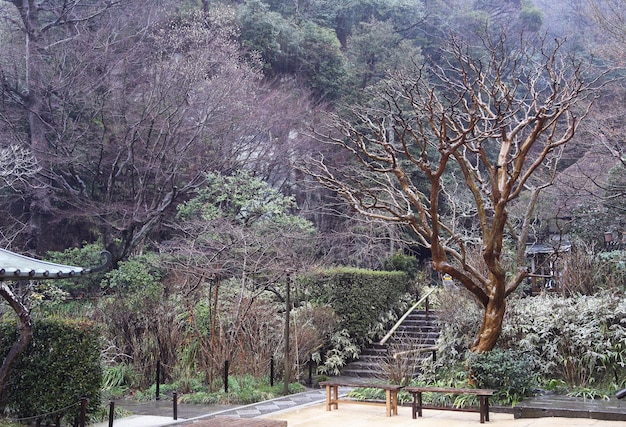 상록 공원 의 풍경