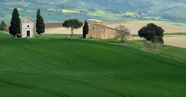 Scenic view of farm against clear sky