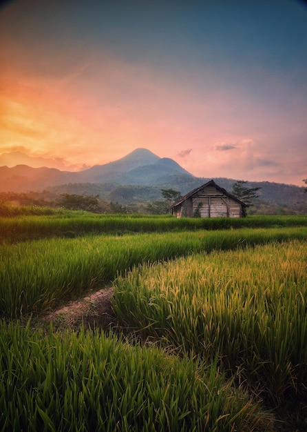 夕暮れの空を背景にした農場の景色